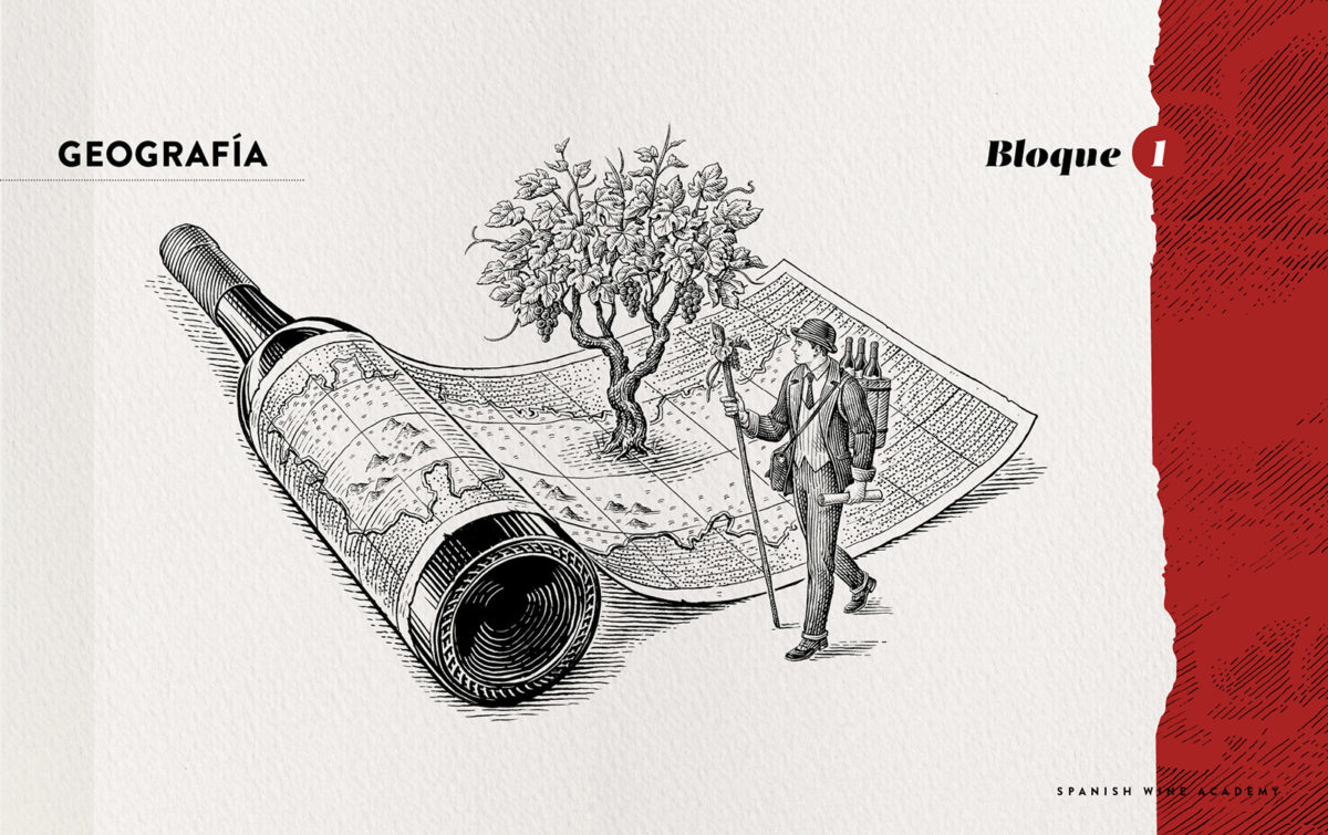 Spanish Wine Academy - Bloque 1 - Geografía