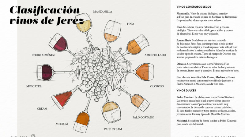 Clasificación vinos de Jerez
