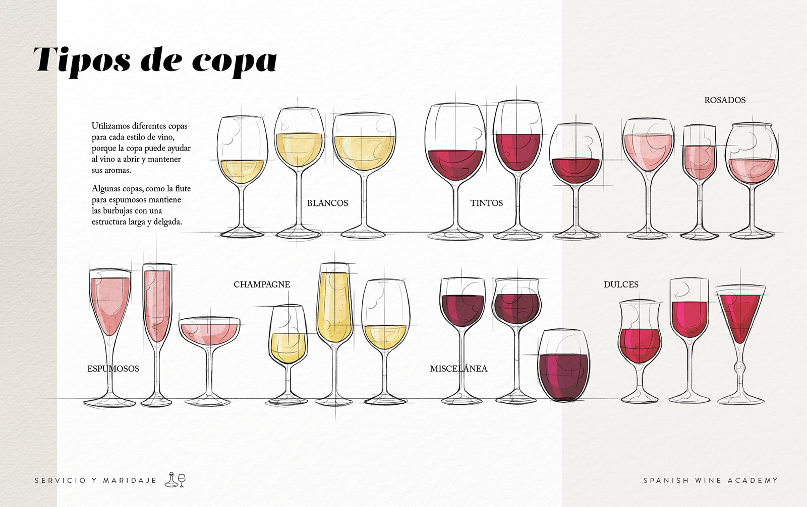 Qué copa usar para cada tipo de vino - El Coto de Rioja